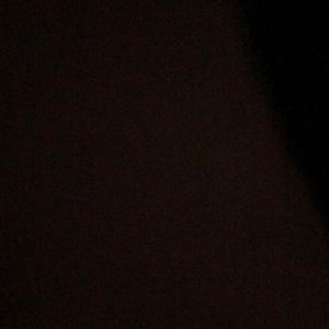 Two mystery swavorski animals